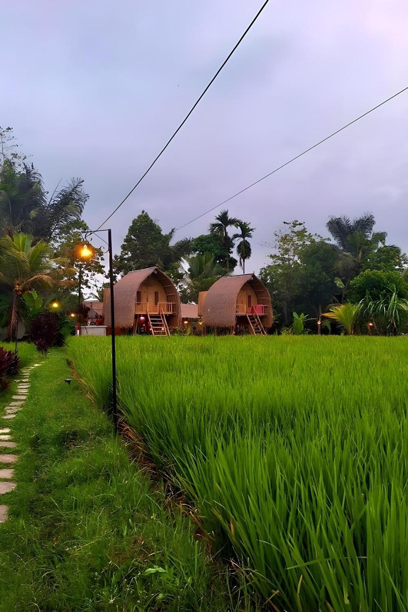 Lumbung Langit Bali House & Hostel Tampaksiring Bagian luar foto