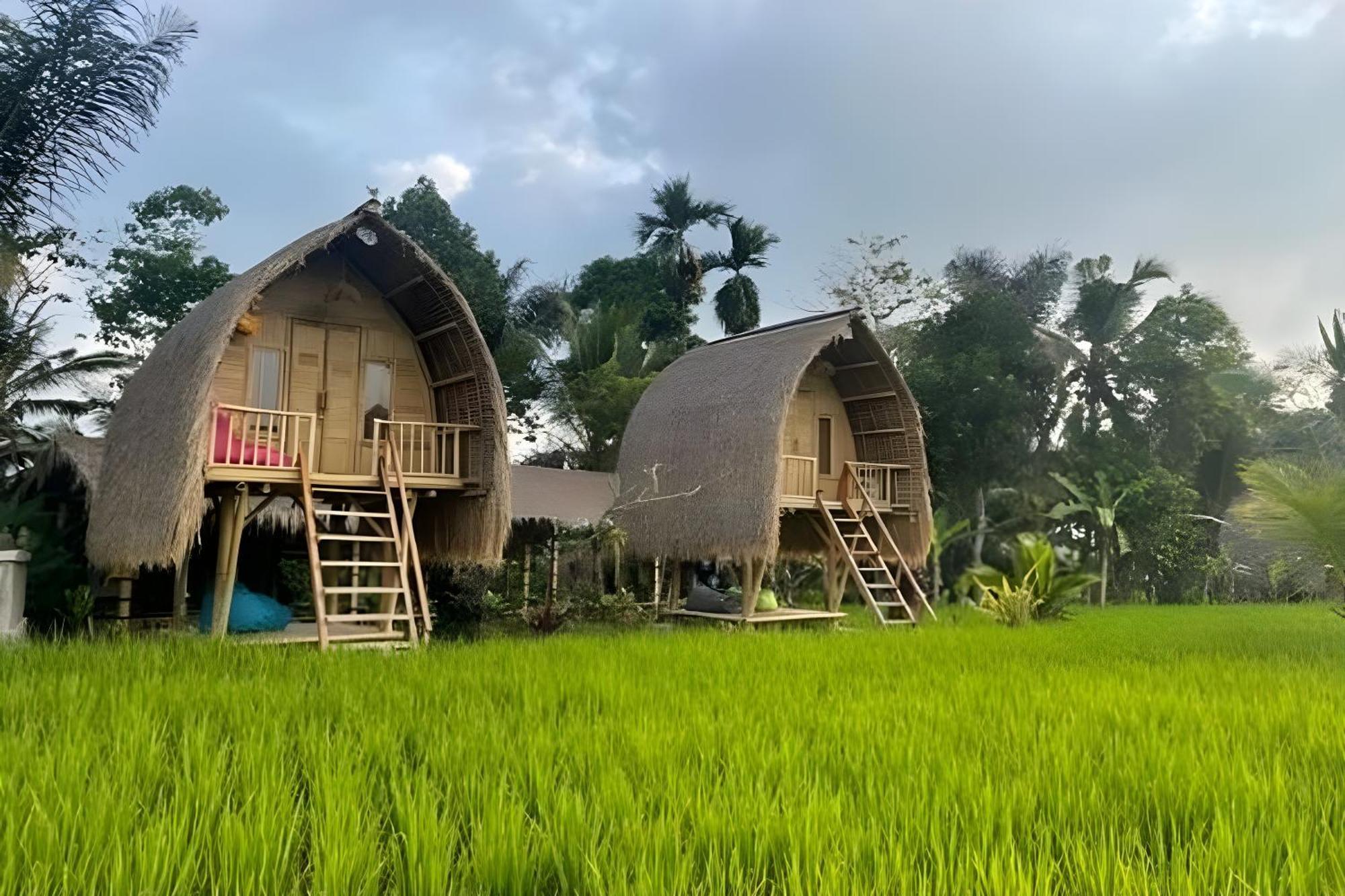 Lumbung Langit Bali House & Hostel Tampaksiring Bagian luar foto