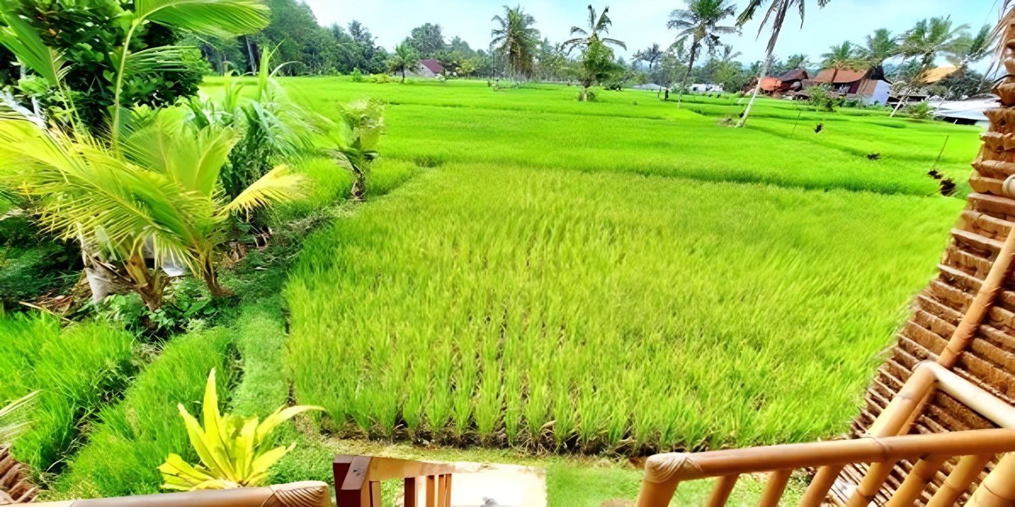 Lumbung Langit Bali House & Hostel Tampaksiring Bagian luar foto