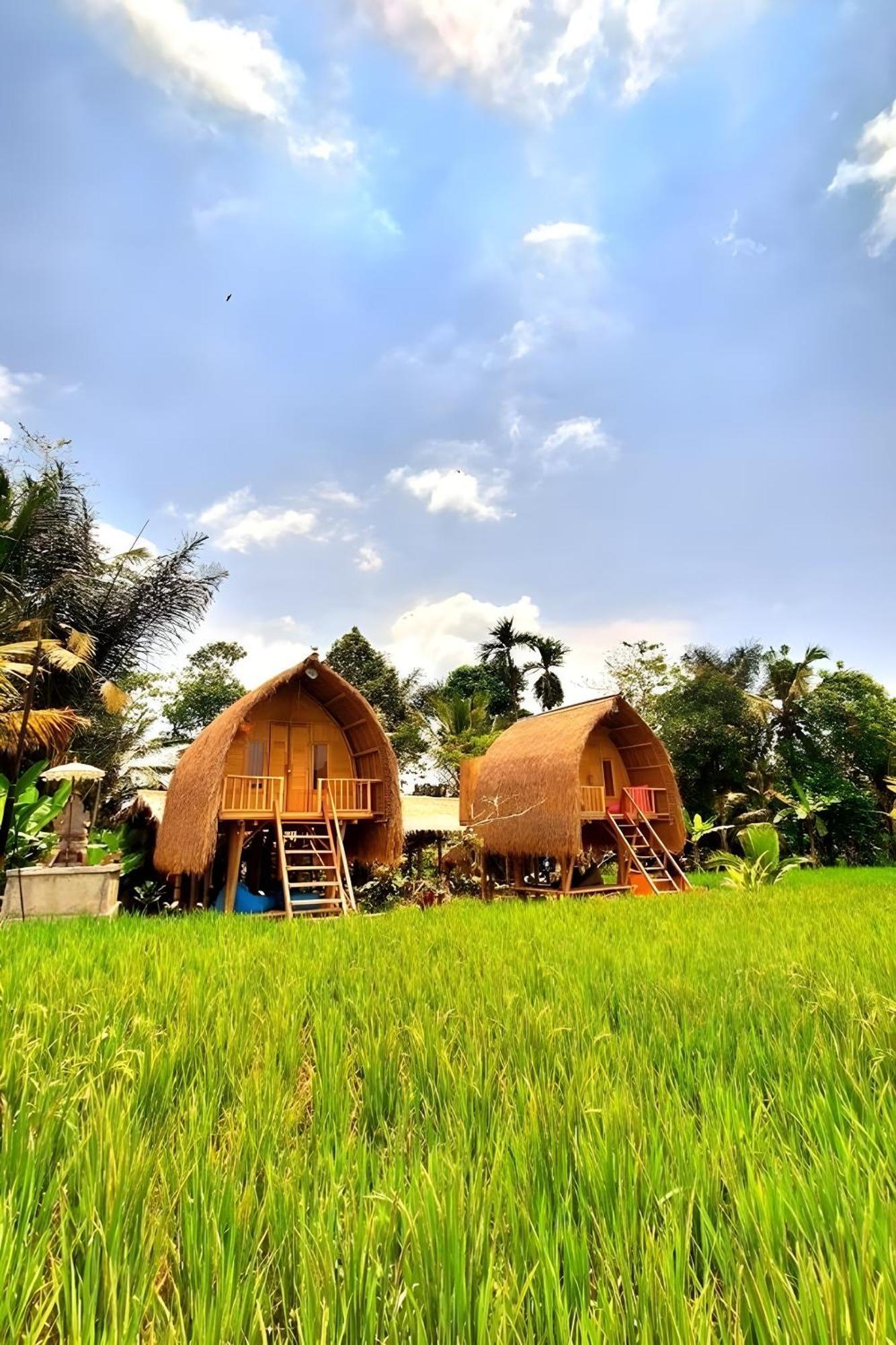 Lumbung Langit Bali House & Hostel Tampaksiring Bagian luar foto