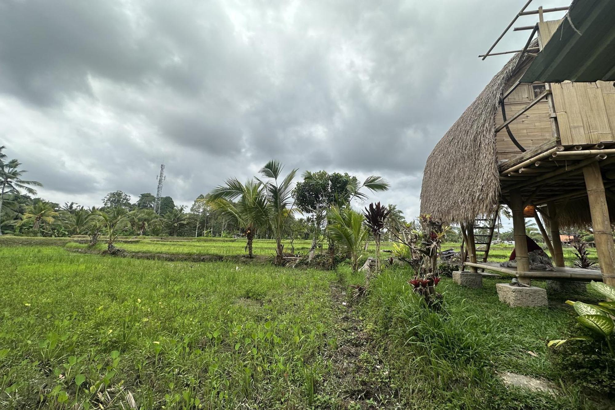 Lumbung Langit Bali House & Hostel Tampaksiring Bagian luar foto