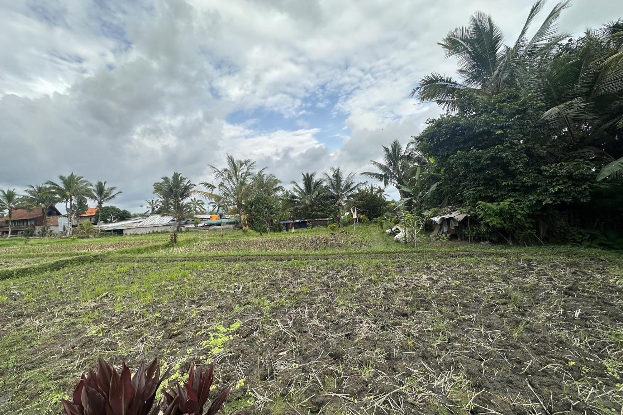 Lumbung Langit Bali House & Hostel Tampaksiring Bagian luar foto